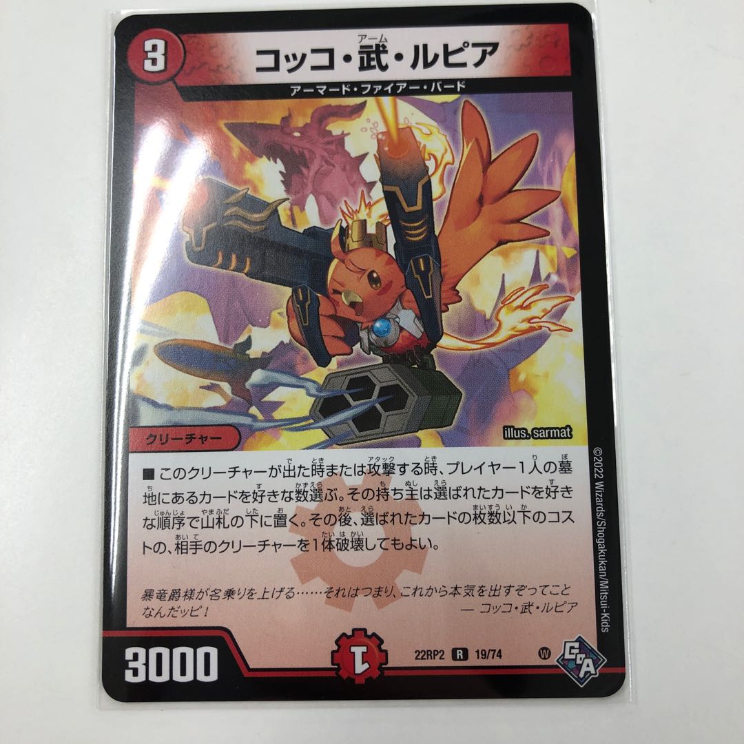 Cocco Bu Lupia R 19/74