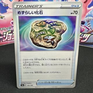 めずらしい化石(キラ) 165/190