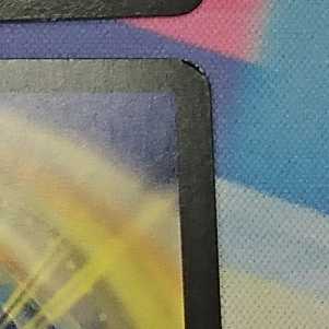 Umi Ryujin Ku Squirrel Do Set of 4