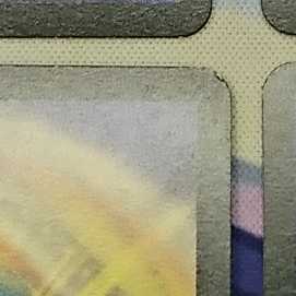 Umi Ryujin Ku Squirrel Do Set of 4