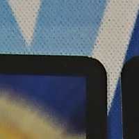 Umi Ryujin Ku Squirrel Do Set of 4