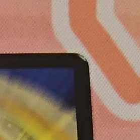 Umi Ryujin Ku Squirrel Do Set of 4