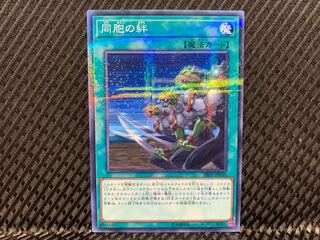 【アゴ之内】遊戯王 同胞の絆 ノーパラ