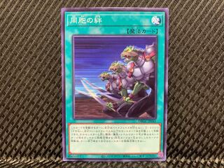 【アゴ之内】遊戯王 同胞の絆 ノーマル