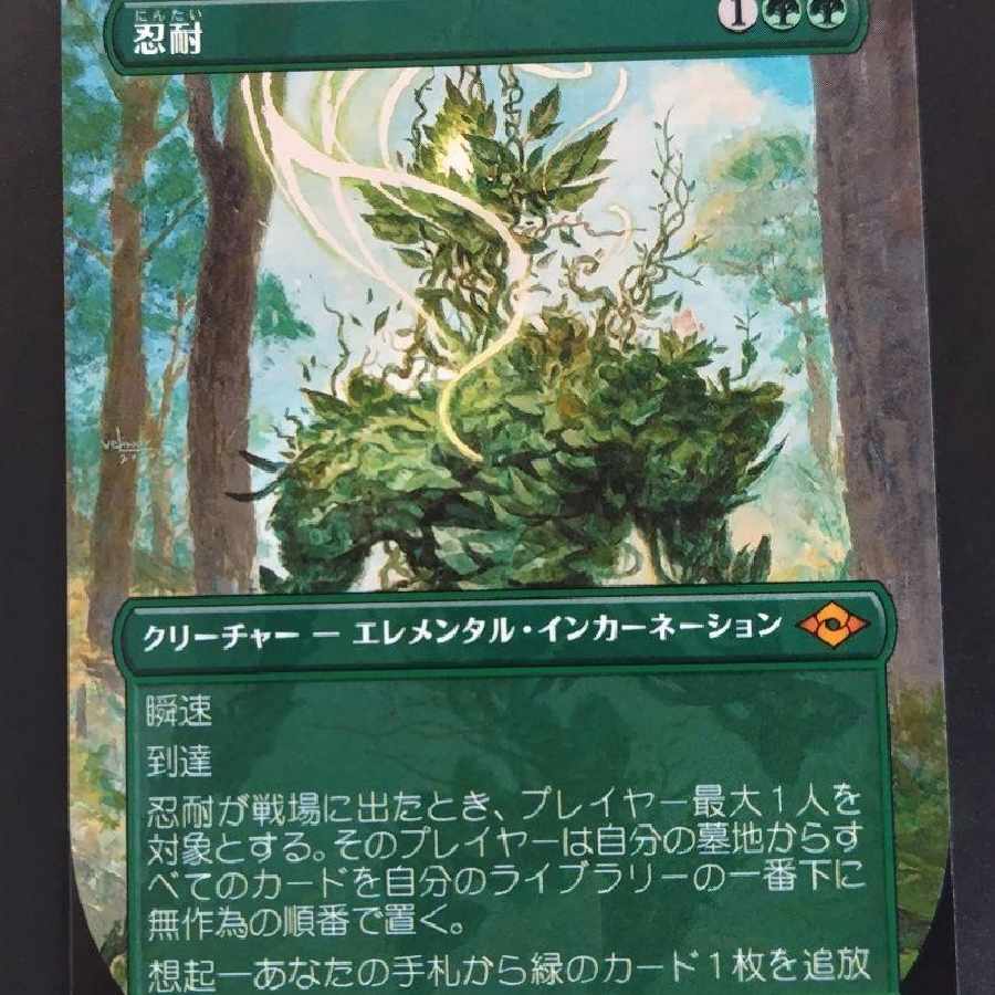 MTG 忍耐　拡張　コレブ