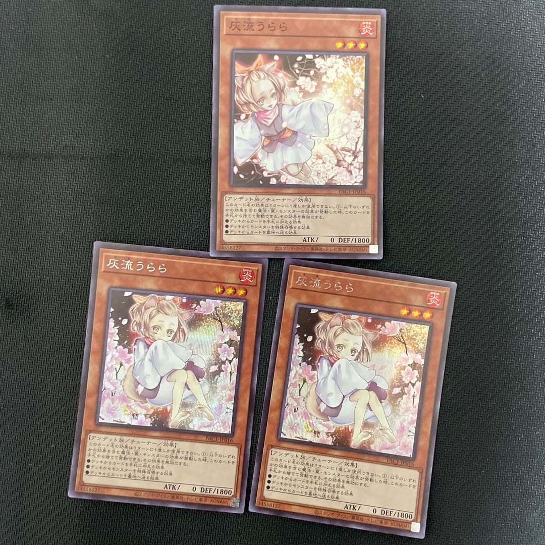 Ash Blossom & Joyous Spring JP016