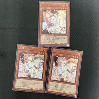 Ash Blossom & Joyous Spring JP016