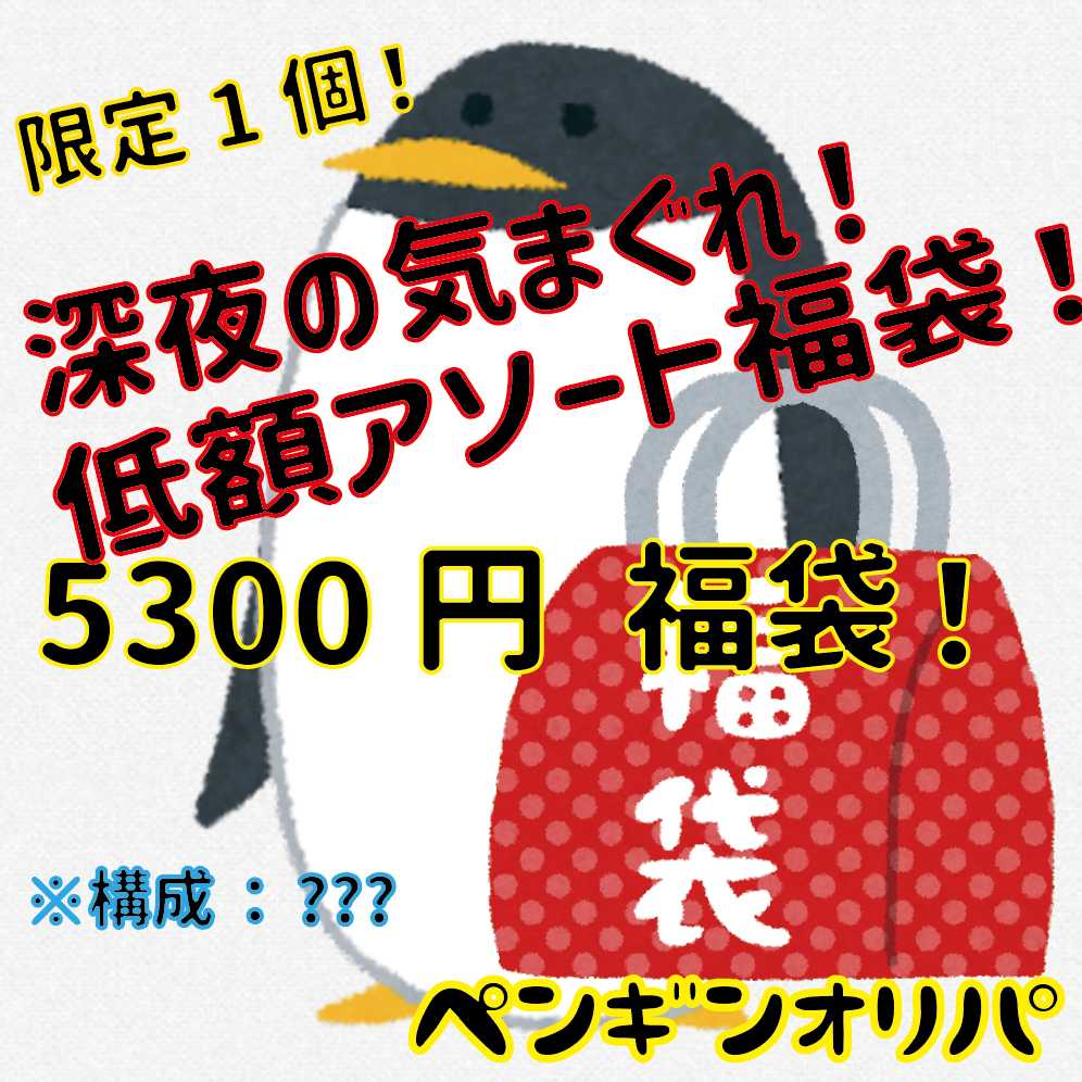 限定1個】深夜の気まぐれ！低額アソート福袋！5300円福袋 ペンギン 