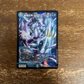 龍素記号wD サイクルペディア SR 18/130