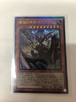 遊戯王　樹冠の甲帝ベアグラム　ホログラフィックレアPSA10 Amazon.co.jp: 遊戯王 PHHY-JP021 樹冠の甲帝ベアグラム (日本語