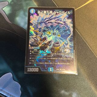 水上第九院 シャコガイル SR 18/98