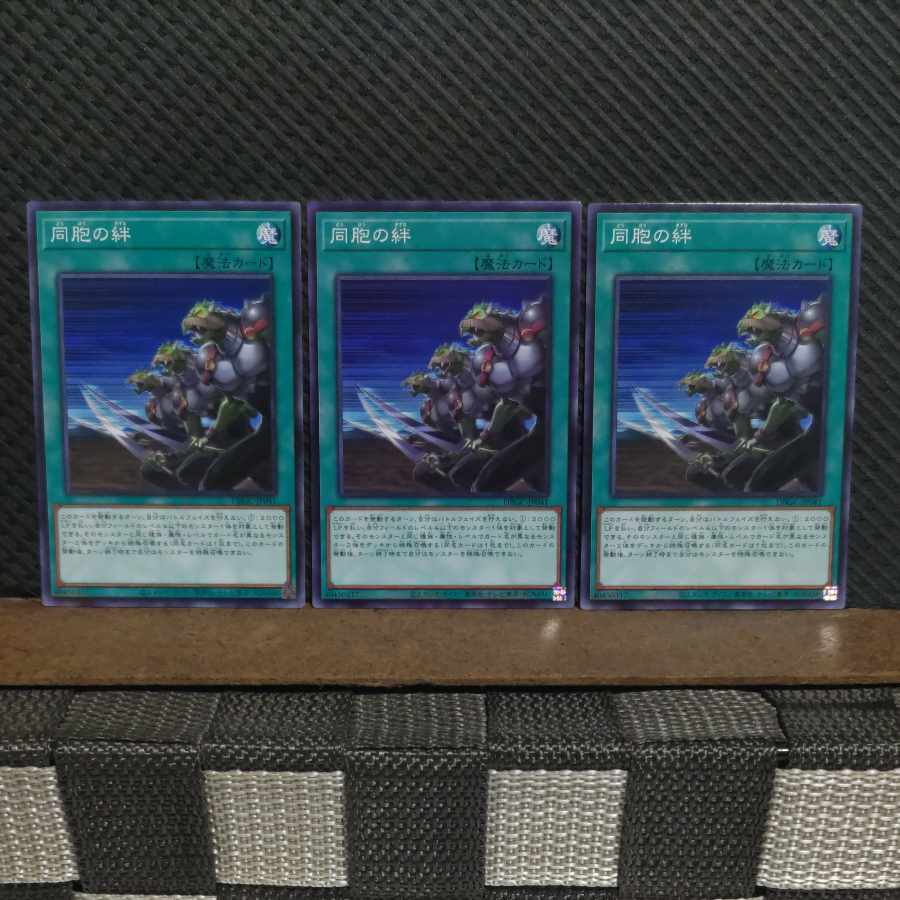 【ぽぽたん】遊戯王 #2062 同胞の絆 ノーマル 3枚