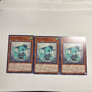 星杯の守護竜 ノーマル JP021