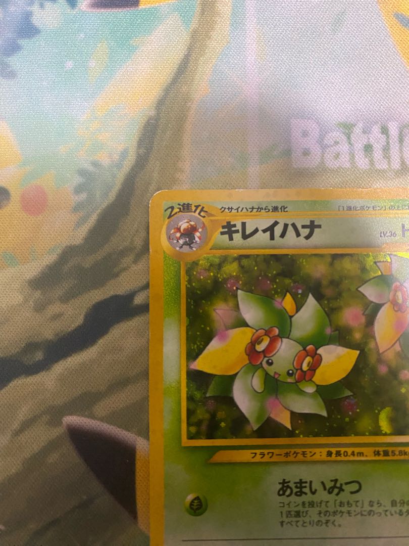 ポケモンカード 旧裏 キレイハナ