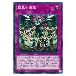 二枚目以降100円引/COTD-JP070★覇王の逆鱗