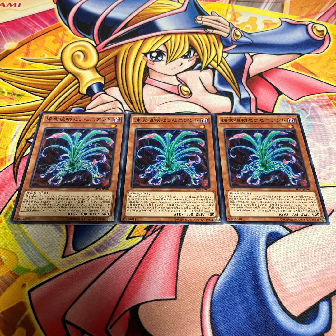 Predaplant Sarraceniant Normal JP001