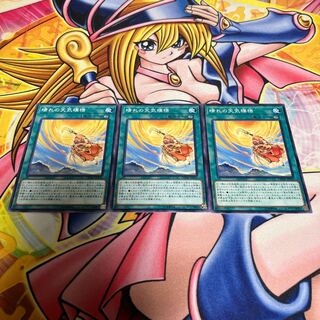 The Weather Sunny Canvas Normal JP039