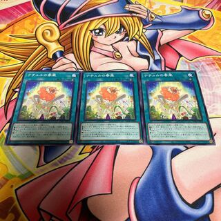 ナチュルの春風 ノーマル JP064 1枚