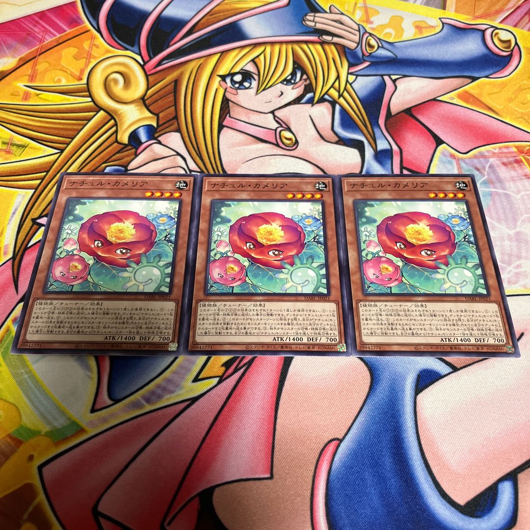 Nature Camellia Normal JP021