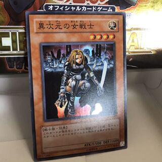 異次元の女戦士 303 027 初期 ぬこまる