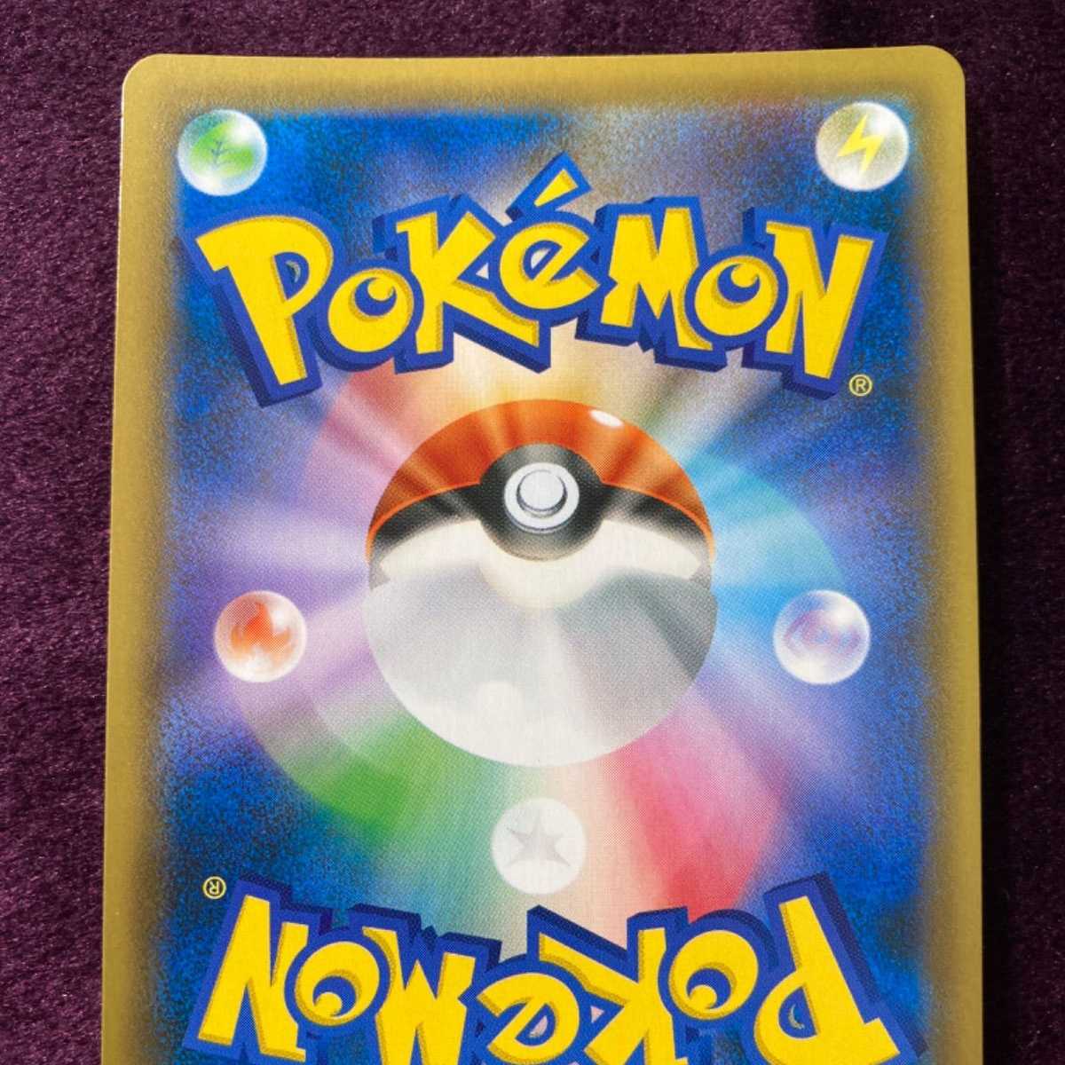 Kyogre a Rosa Zing Search