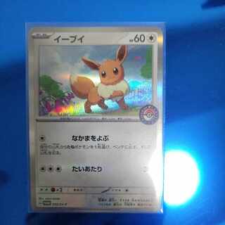 イーブイ カジュアルバトル