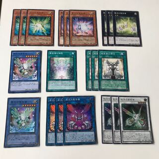 デクレアラー　宣告者　セット　キラ7枚 全21枚