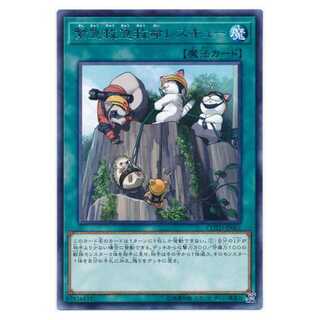 100 yen discount after the second copy/COTD-JP061★Emerging Emergency Rescute Rescue/rare