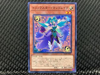 【アゴ之内】遊戯王 トリックスター・マンドレイク ノーマル