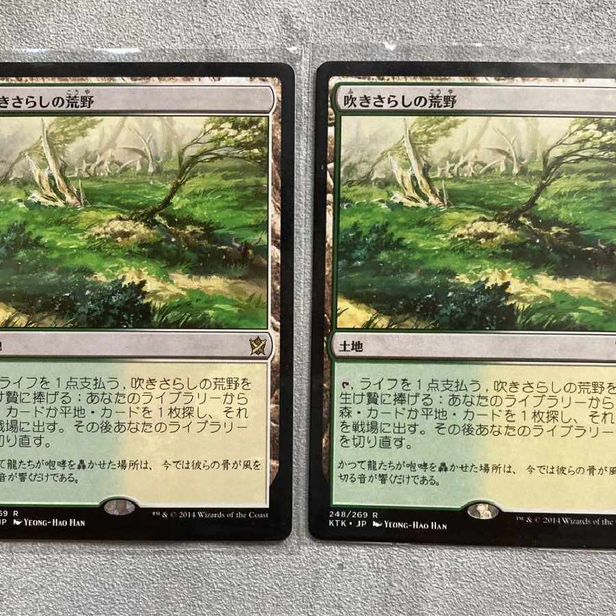 MTG 吹きさらしの荒野 2枚 2枚