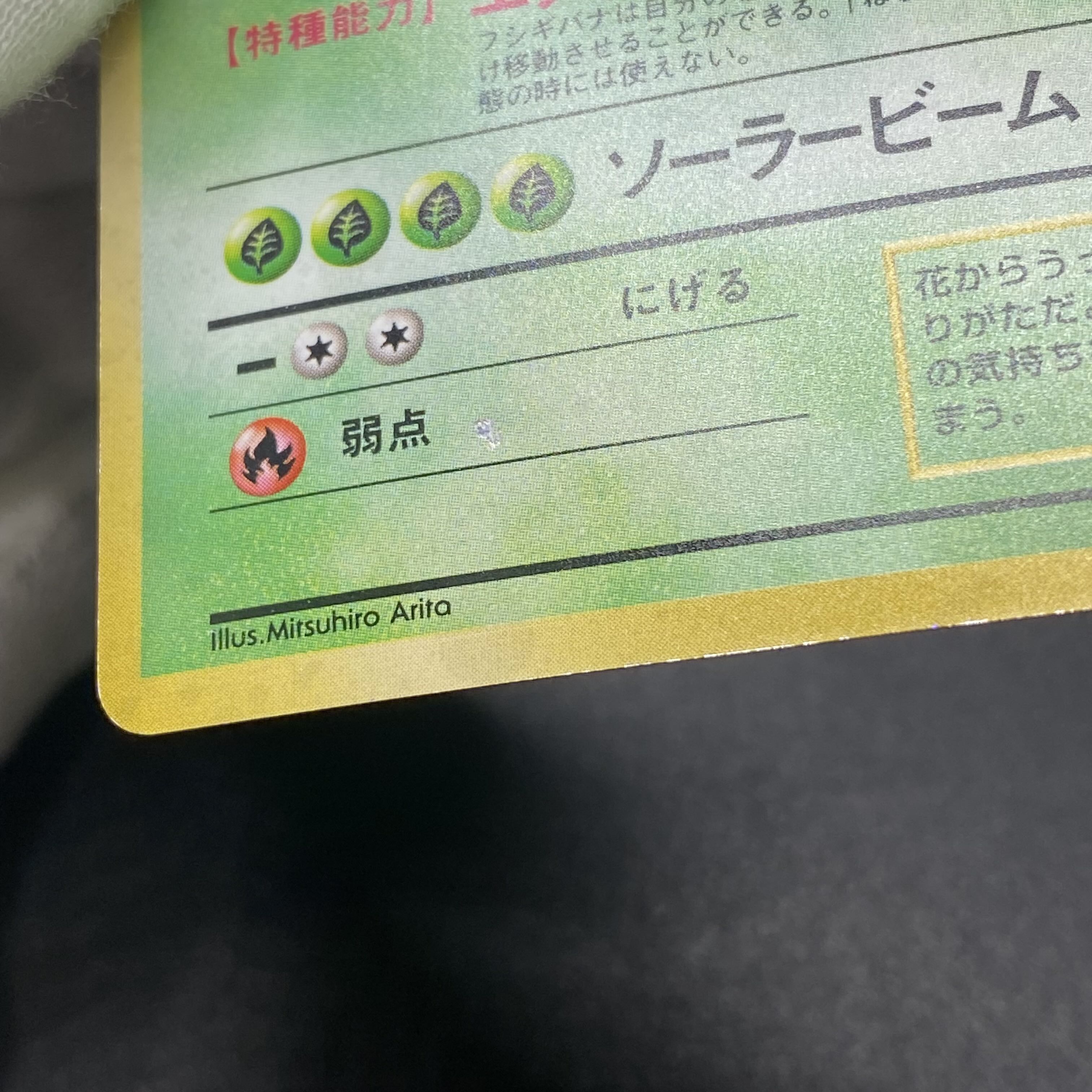 Venusaur, old back, first edition, unmarked.