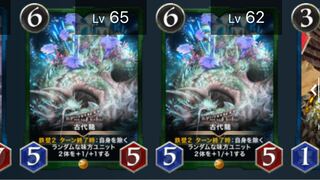 カーリー龍 2枚