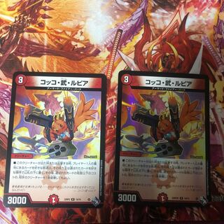 Cocco Bu Lupia R 19/74