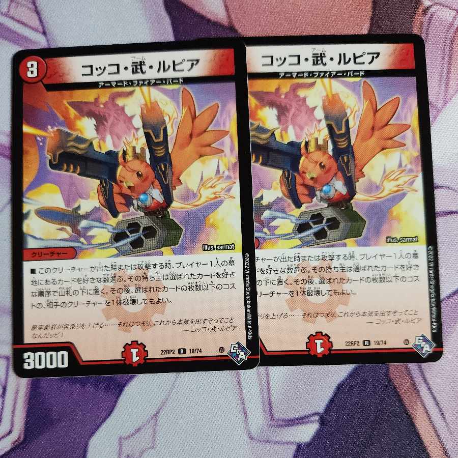 Cocco Bu Lupia R 19/74