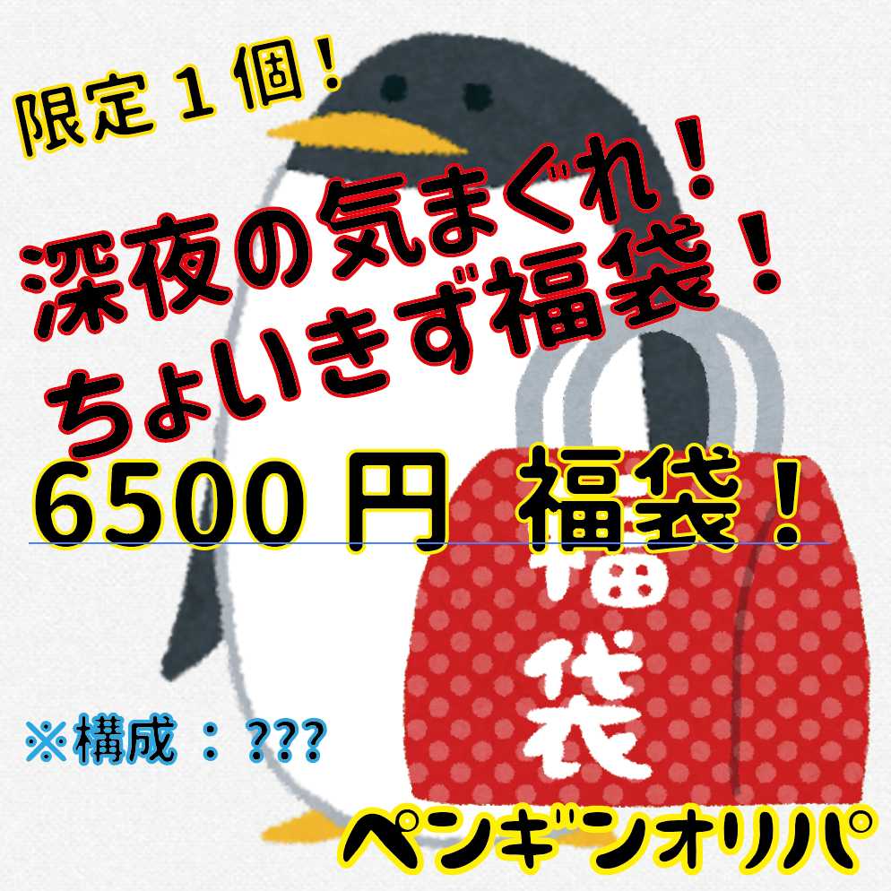 【限定1個】深夜の気まぐれ!ちょいきず福袋!6500円福袋 ペンギンオリパ