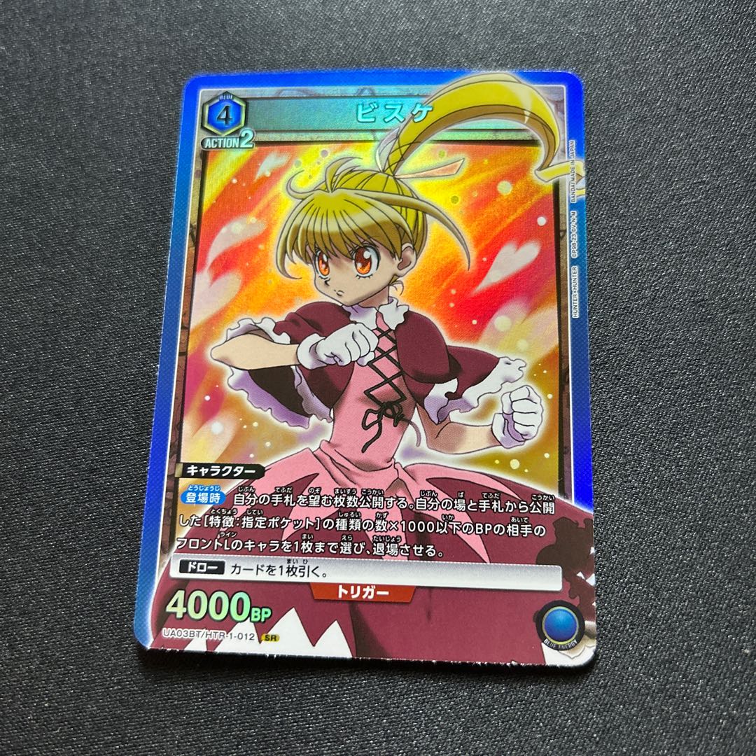 Biscay [UA03BT/HTR-1-012SR] [UA03BT/HTR recording].