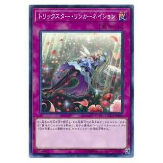 二枚目以降100円引/COTD-JP068★トリックスター・リンカーネイション