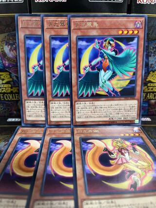 遊戯王スタジオ 3247 月光黄鼬、月光翠鳥 各3枚