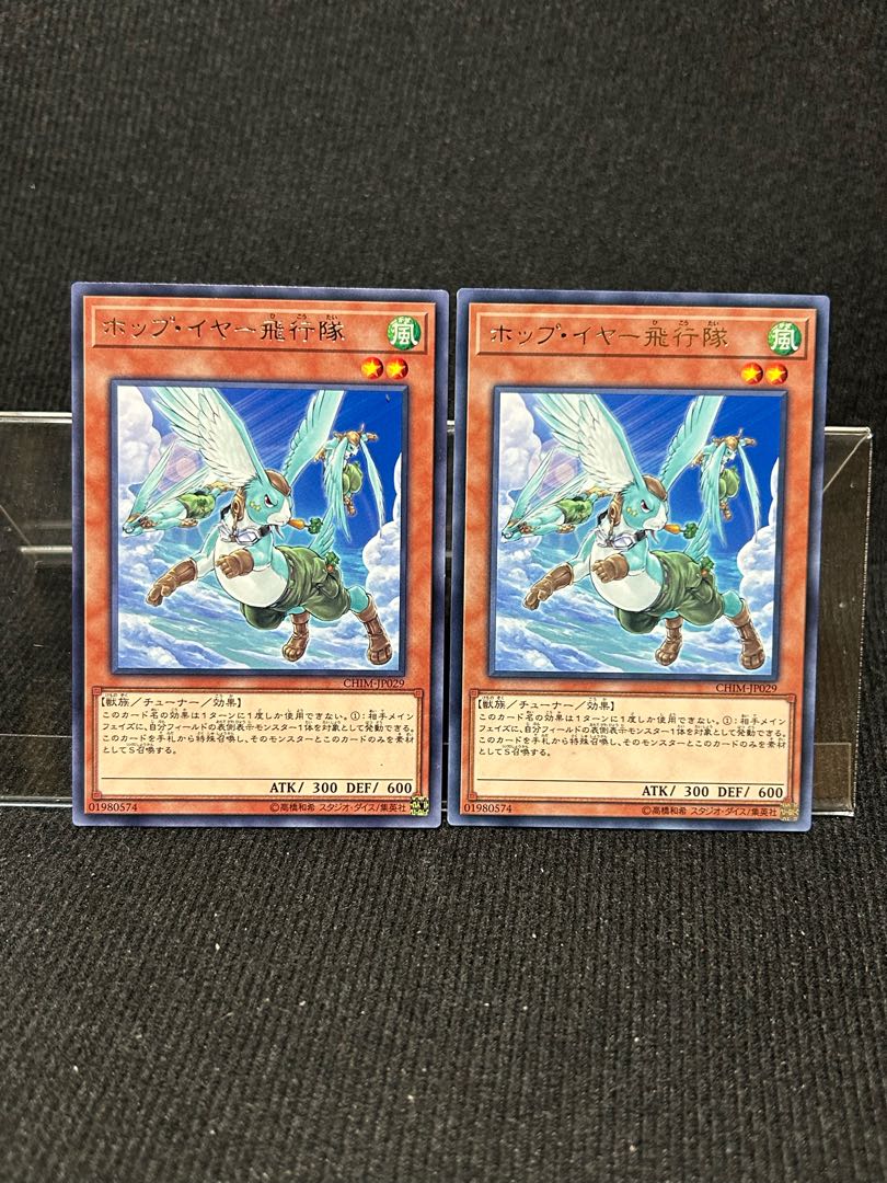 ホップ・イヤー飛行隊 レア JP029 2枚 【224】