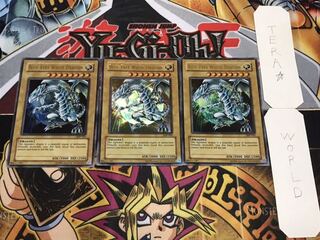 英語版 青眼の白龍 ウルトラ 3枚セット
