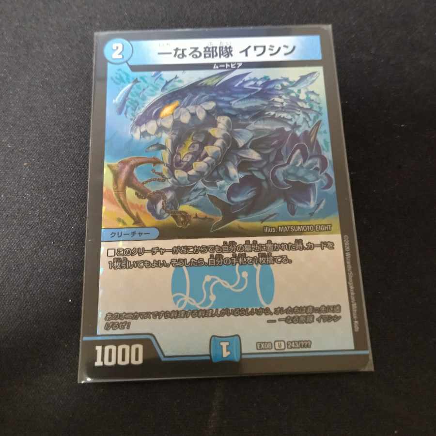 One unit Iwashin U-foil 243/????? 1枚