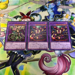 スターヴヴェノムフュージョンドラゴン・捕食植物ドラゴスタペリア 3枚セット