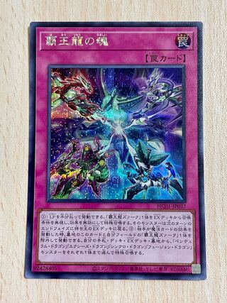 遊戯王 覇王龍の魂 シークレット