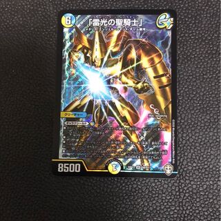 「雷光の聖騎士」