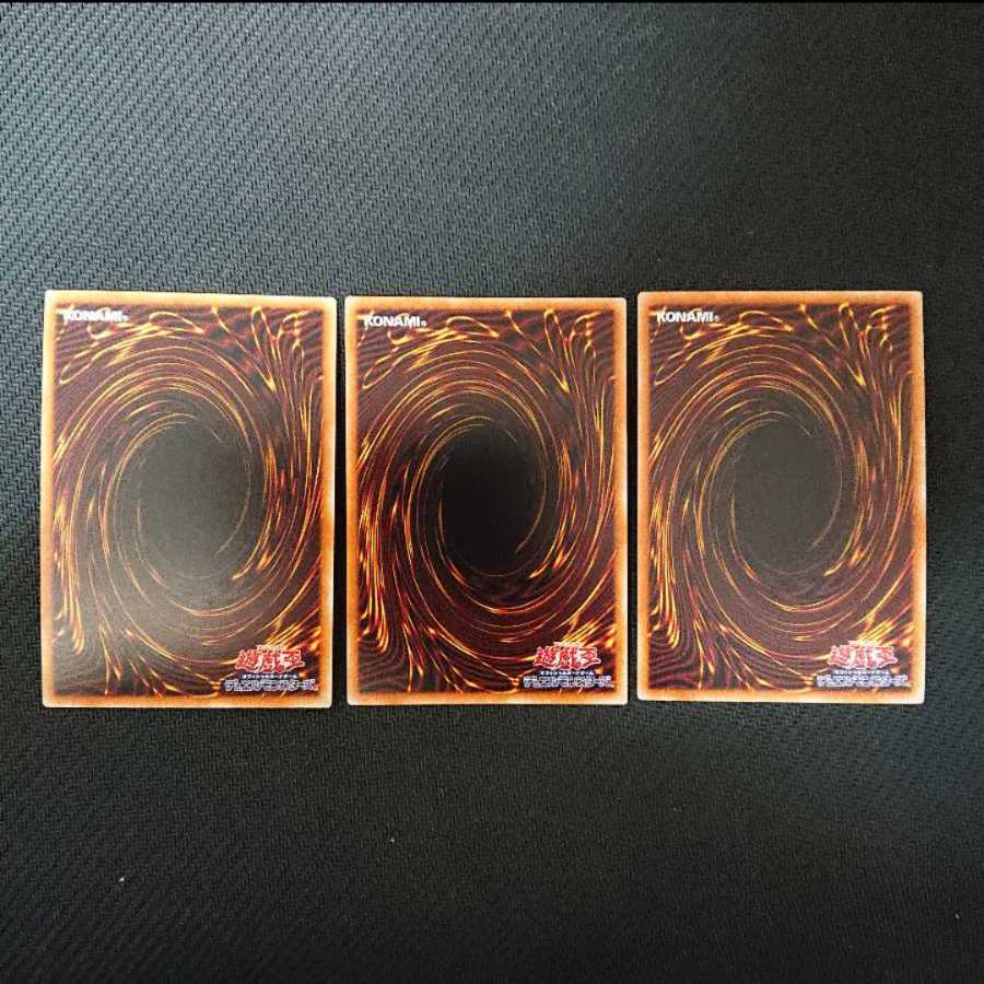 白棘鱏    ホワイト・スティングレイ