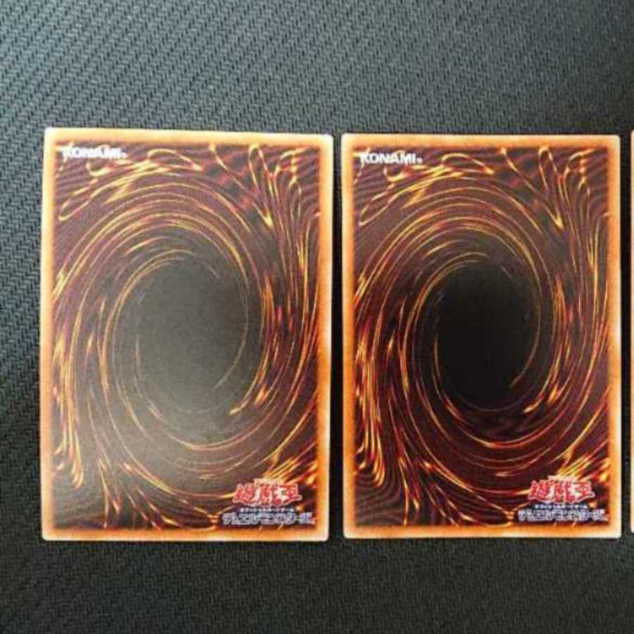 白棘鱏    ホワイト・スティングレイ