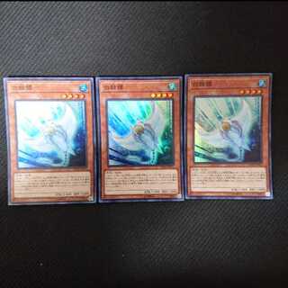 白棘鱏   ホワイト・スティングレイ