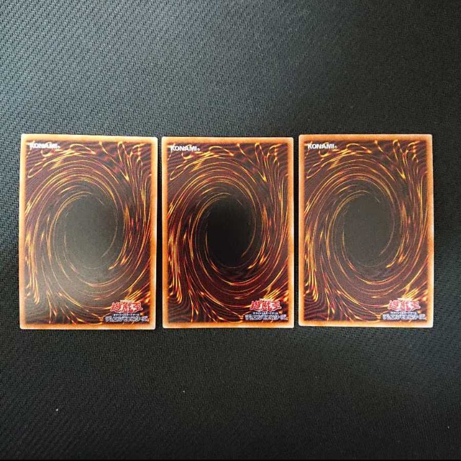 白棘鱏   ホワイト・スティングレイ