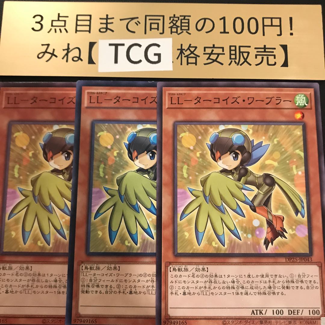 LL-ターコイズ・ワーブラー ノーマル DP25-JP043