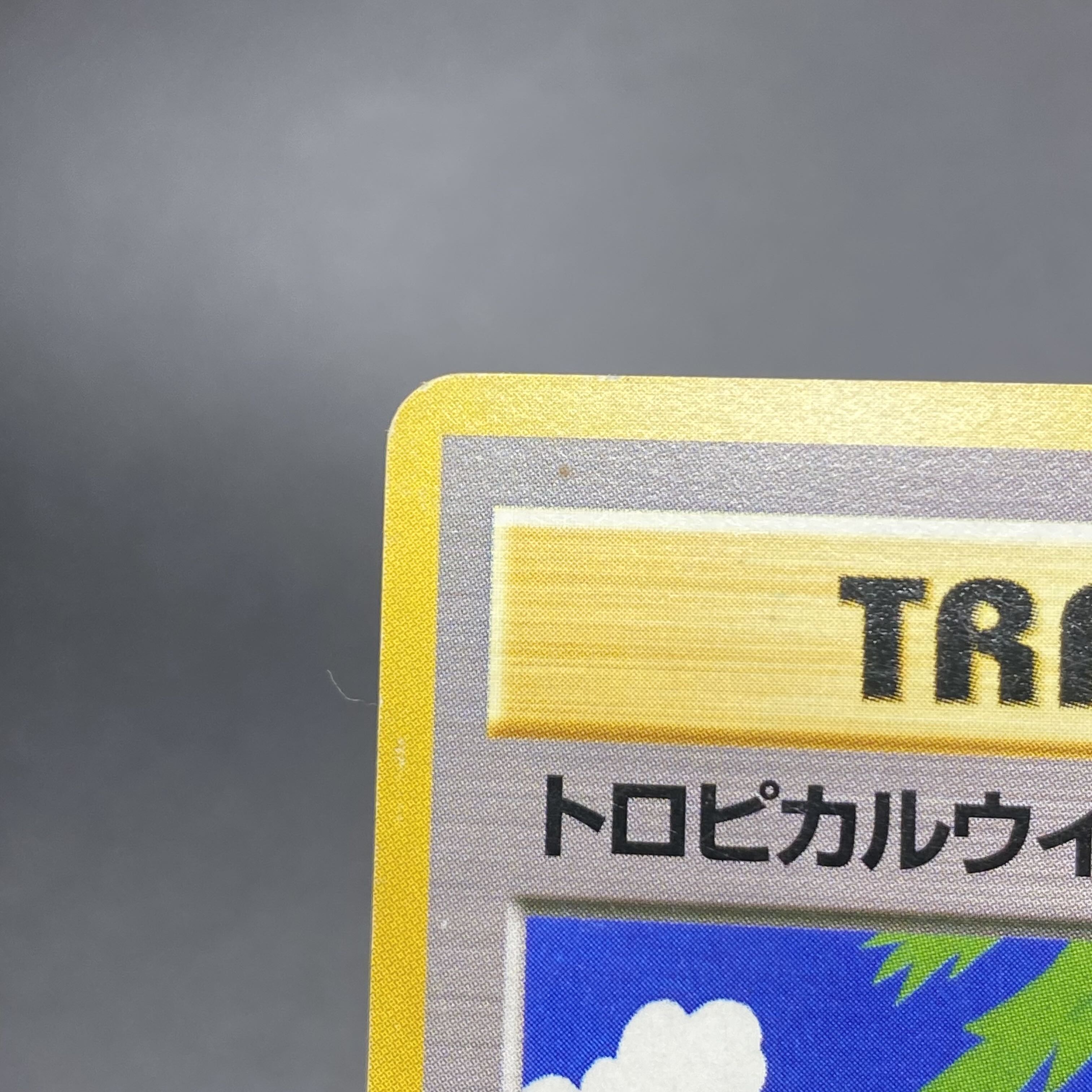 Tropical Wind Challenge Road '99 "Tropical Mega Battle" Participation Commemorative Card 1枚